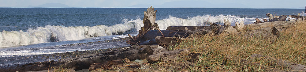 Dungeness Spit on the Olympic Peninsula