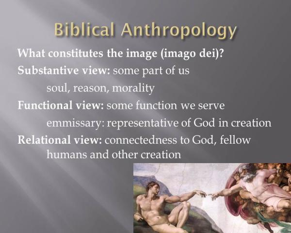 Slide 7